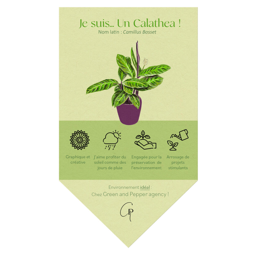 cv-plante JPG